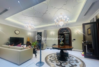 ĐẲNG CẤP LONG BIÊN  BIỆT THỰ  ELEGANT PARK VILLA - NỘI THẤT 5 SAO - LÔ GÓC - THANG MÁY SANG XỊN MỊN - Ở SƯỚNG