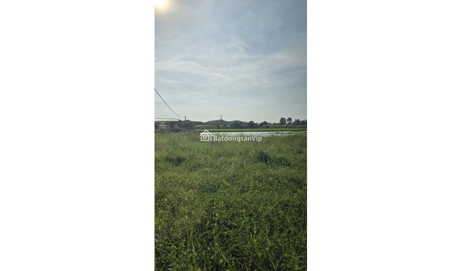 Vị Trí VÀNG Cửa Ngõ TP.HCM! 300m² Đất Bến Lức, Chỉ 5 Phút Đến Bình Chánh, Sổ Đỏ Sẵn, Tiềm Năng Tăng Giá Gấp Đôi Khi Cao Tốc Mở Rộng.