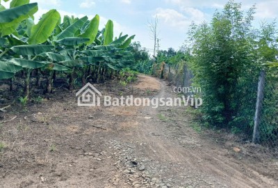 Cần bán Đất nông nghiệp 2000m2 xã Thanh Sơn H. Định Quán T.Đồng Nai 350 triệu